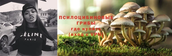 тгк Мегион