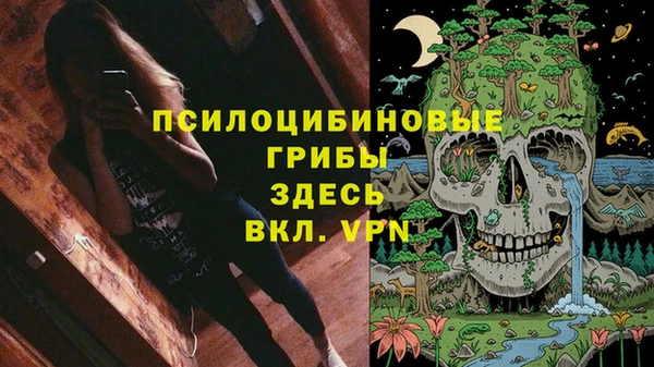 герыч Алексин