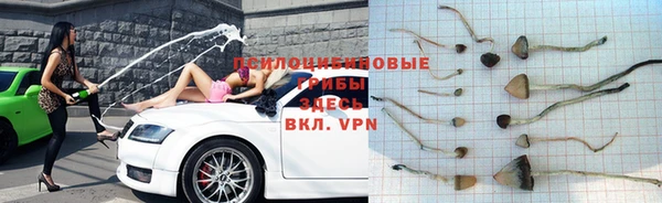 индика Алексеевка