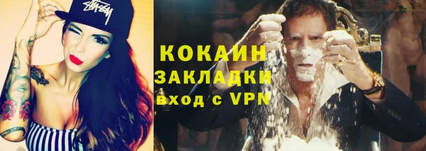 индика Алексеевка