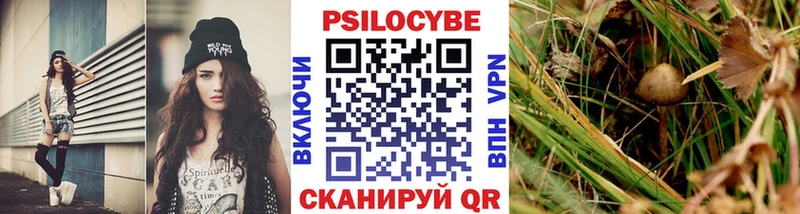 где купить   Удачный  Галлюциногенные грибы GOLDEN TEACHER 